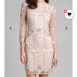 NWT Cocktail blush/champagne cocktail dress